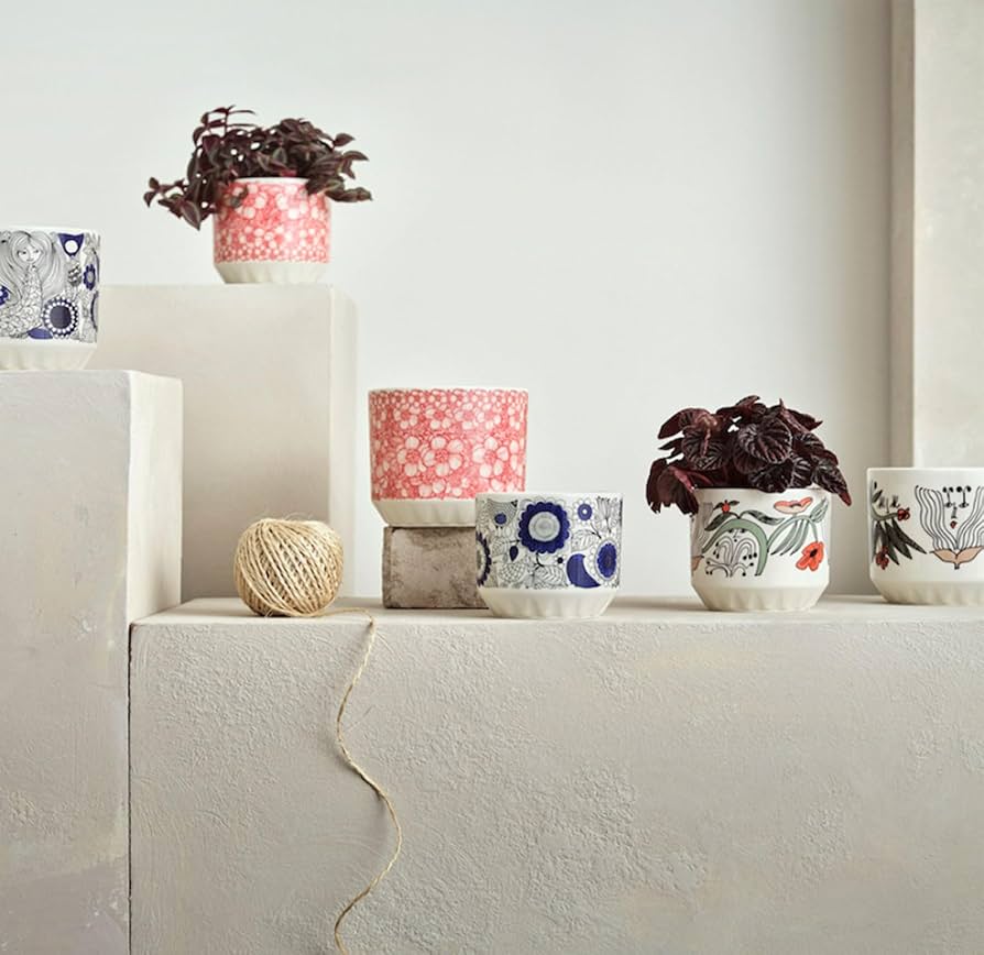 Amazon.co.jp: 【正規輸入品】 アラビア パストラーリ プラント